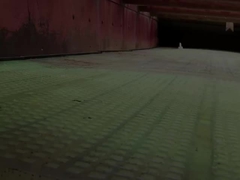 پنل‌های صفحه نمایش PU 2